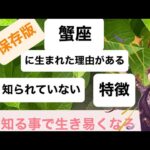 蟹座さんの生まれて来た理由について話します 知られていない特徴を知って下さい
