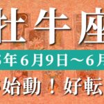 牡牛座 【 おうし座 ♉ 】週間リーディング( 2025年 6月9日の週) 覚醒の合図！好転加速中✨🔑 牡牛座 タロット占い