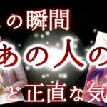 【🐣ビックリ‼️な鑑定でした🫢】今この瞬間あの人のど正直な気持ち🌷