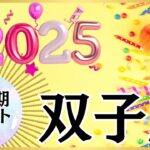 【ふたご座🌈2025年下半期】もう怖いものなし‼️やりたいように人生を作る😃🗺️重要なお知らせもいっぱい💌🕊️