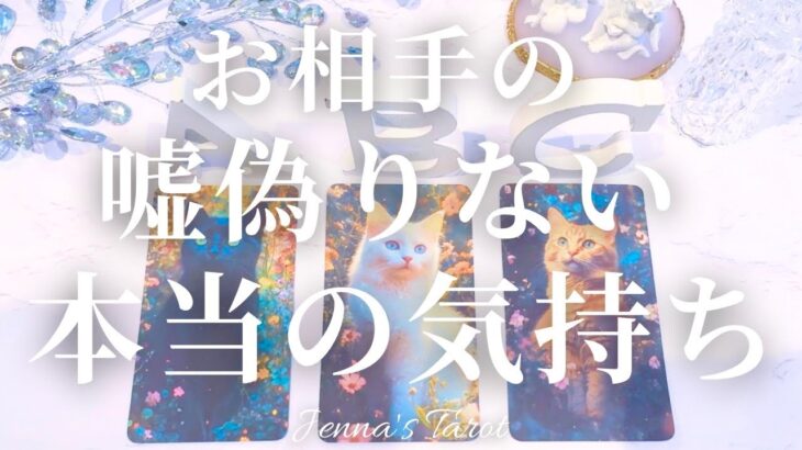 そうだったのか😳【恋愛❤️】お相手の嘘偽りない本当の気持ち【タロット🔮オラクルカード】片思い・復縁・複雑恋愛・音信不通・曖昧な関係・疎遠・サイレント期間・あの人の気持ち・本音・カードリーディング