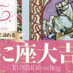 蟹座♋遅れている大事な情報があなたの望み通りの大吉報🏇もうすぐ起こる大吉報🏇どんな？🏇いつ頃？🌝月星座かに座さんも🌟タロットルノルマンオラクルカード