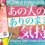 【これが本当の急展開】前のめり⁉︎ あの人のすごい本音！気持ち！根掘り葉掘りのインタビュー　そして二人のこれから【タロット 恋愛 占い的ストーリ】No.581