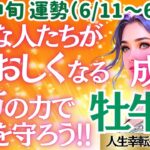 🐱【♉牡牛座さん💖6月中旬運勢】〈周りの人を思いやりと愛で引っ張っていく💖貴方が心地良い場所でドンドン活躍していこう👍嬉しい結果も😊〉 人生幸転タロットリーディング 占い おうし座 太陽星座・月星座