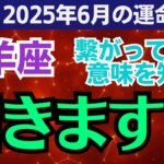 【山羊座】2025年6月のやぎ座総合運🌈やっと受け取る“幸せのサイン”