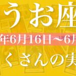 【うお座】1週間の運勢（2025年6月16日〜6月22日）♓️たくさんの実り！成就と完結、ゴールテープを切る、切り開かれていく未来