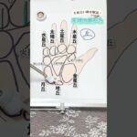 手相はどうやって見るの？手相占い師が解説！ #shorts #手相占い #手相山本