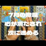 蠍座7月：満足できる結果が得られる。余裕を持って次のチャレンジができる。