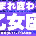 【乙女座6月中旬✨超神回！】絶対に見てほしい！🍀”これまでの私”にありがとう。新しい物語が今ここから始まる！💫💫 （6/11-20の運勢）