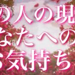 【恋愛】あの人の現状・あなたへのお気持ち😖💖🌀💫タロットリーディング