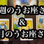 絶好調のまま７月へ！今週のうお座さん & 7月のうお座さん。Stay on top form heading into July! Pisces this week & Pisces in July.