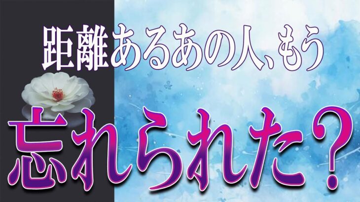 【タロット占い】【恋愛 復縁】【相手の気持ち】忖度無しでそのまま読んでます🔮🔮🔮距離あるあの人、もう忘れられた❓❓❓😢😢😢【恋愛占い】