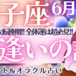 【双子座】偶然じゃない‼️意味深な大転換期‼️全体運！超必見です🦄✨ 6月運勢  タロット占い
