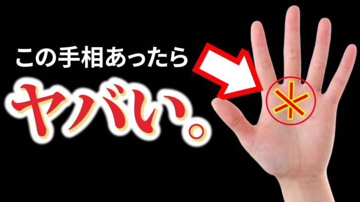鑑定歴30年の手相家欲しがる唸るほど大開運！これがあれば大器晩成！