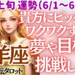 【♑山羊座さん💖6月上旬・前半運勢】〈笑顔でその才能を開かせよう🌸自分の才能を存分に活かせるワクワクする事を選んでください💖〉 人生幸転タロットリーディング 占い やぎ座 太陽星座・月星座