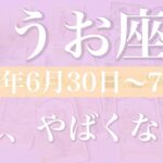 【うお座】1週間の運勢（2025年6月30日〜7月6日）♓️爆発力凄すぎ…びっくりするほど恵まれてる、刈り取りと実りの喜び