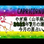 やぎ座（山羊座)・2025年7月の運勢｜今月の星占い.