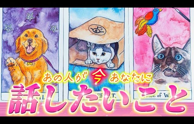 【ガチ透視】驚きの本音😳で語るあなたへの💌超正直すぎるあの人の気持ち💗リアルな本音💓個人鑑定級　タロット占い