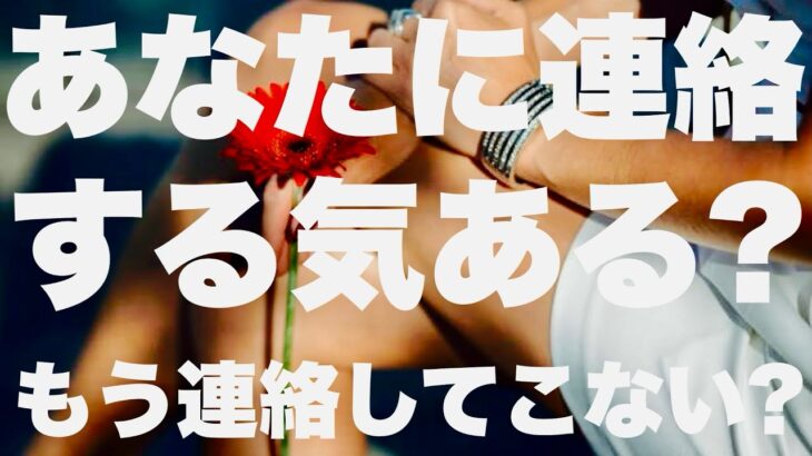 【タロット占い】あの人はあなたに連絡する気ある？もう連絡してこない？ー6択ー