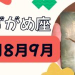 【水瓶座】3ヶ月運勢（7月8月9月）すごい復活‼️あなたらしさを取り戻す❗️本当の願いに気づく✨✨
