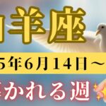 山羊座♑️今週の占い🔮導かれる⭐️⭐️（龍音の小話）