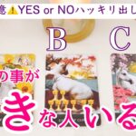 【⚠️閲覧注意⚠️YES or NO❗️】今わたしの事が好きな人いますか？タロット、タロット占い、恋愛
