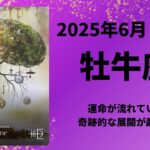 【牡牛座】運命が流れていく！奇跡的な展開が起こる✨【おうし座2025年6月1〜15日の運勢】
