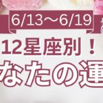 【今週の運勢は？】6/13～6/19 12星座運勢リアルタイム鑑定🌈🐇✨【開運占い師と振り返る1週間】最近あった良いこと、嬉しいこと教えて～！