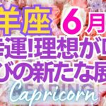 ♑山羊座6月運勢🌈✨