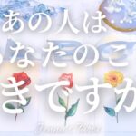 ドキドキ🥺‼︎【恋愛❤️】あの人はあなたのこと好きですか？【タロット🔮オラクルカード】片思い・復縁・複雑恋愛・音信不通・冷却期間・疎遠・曖昧な関係・あの人の気持ち・本音・未来・恋の行方・リーディング