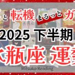 【運命ナビ】水瓶座は泣ける😭信じていい、すべては豊かさの扉へ、、、うれしい変化が止まらない♒️2025年下半期全体運【脱力系タロット占い】
