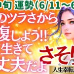 【♏蠍座さん💖6月中旬運勢】〈これまでの大変だった想いがドンドン回復していきます😊心からの喜び、楽しくやっていくことで、元気になれる👍〉 人生幸転タロットリーディング 占い さそり座 太陽星座・月星座