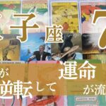 【双子座　2025年7月】タロットリーディング｜全体運・仕事運・人間関係｜思い込みを手放して、もっと自由になる時が来ました！