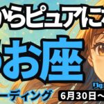 【魚座】♓️2025年6月30日の週♓️心からピュアになる。あたたかく守られ、新しい夜明けを迎える。うお座。タロットリーディング
