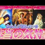 【ガチ本音😳】あの人の本当の気持ち💗を聞きました　深すぎる本音とあの人の望み　個人鑑定級✨タロット