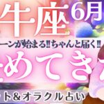 【牡牛座】その努力‼️幸せで返ってくる‼️牡牛座さんを豊かさへ導くご縁ありっ💝✨ 6月運勢  タロット占い