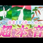 【深すぎ本音✨】無言を貫くあの人の正直すぎる本音💗連絡がないあの人の気持ち❤️音信不通　復縁　個人鑑定級タロット