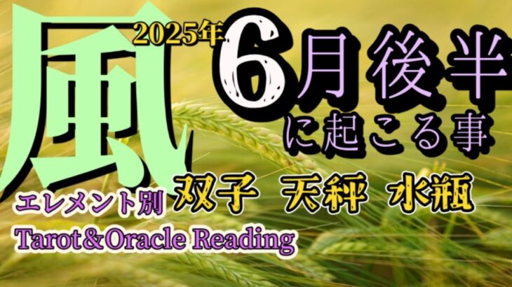 2025年6月後半【風のエレメント】偶然にも程がある！幸運の連鎖はもう始まっていて、次から次へとほらあなたの好きな方へ乗り換えてと私の発言にも無邪気に乗り移って邪魔します…！【双子座、天秤座、水瓶座】