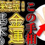 【完全保存版】金運はどうやって見るの？【手相の教科書 〜基礎編〜】 #手相 #占い