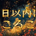 7日以内に起こること🎀サクッと4択リーディング🔮