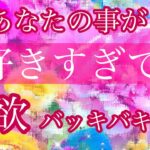 💖あなたの事が好きすぎて🌹性欲バッキバキな人💖パート5💖特徴🌹イニシャル🌹星座🌕