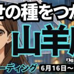 【山羊座】♑️2025年6月16日の週♑️幸せの種をつかむ。私にとって一番の幸せが見つかる時。やぎ座。タロットリーディング
