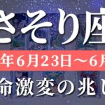 蠍座 【 さそり座 ♏ 】週間リーディング( 2025年 6月23日の週) 運命覚醒！意識の扉が開き流れ一変✨🔑 蠍座 タロット占い