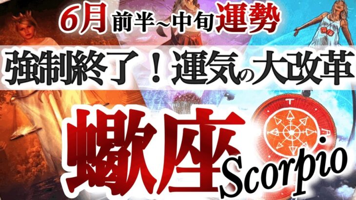 さそり座 6月前半～中旬運勢【運命の輪が大きく廻る！新旧交代の時】運気も貴方も新陳代謝　サソリ座　2025年 ６月運勢　タロットリーディング　Scorpio June