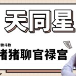 【猪猪聊官禄宫系列】天同星使用手册