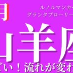 【山羊座】6月起こること〜すごい‼️流れが変わる✨〜【ルノルマンカードグランタブロー＆オラクルカードリーディング】