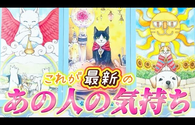 【衝撃本音💗】これが最新のあの人の気持ち❤️超深掘りしたあの人の本音と未来🌈　個人鑑定級✨タロット