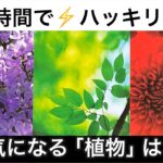 【何かが転じる⚡️大好転の預言】この今日❗️あなたに急いで伝えたい✨緊急メッセージ💌🏇【ルノルマンカードリーディング占い】恐ろしいほど当たる😱