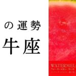 【牡牛座🌷6月の運勢】最近しんどかった人こそ見てほしい🥹実は今、ものすごい運気の流れの中にいます✨✨2025年タロット占い