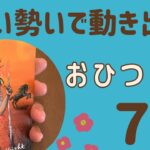 【牡羊座】2025年7月♈️吹っ切れる‼️すごい勢いで動き出す❗️鳥肌級のすごい展開✨✨
